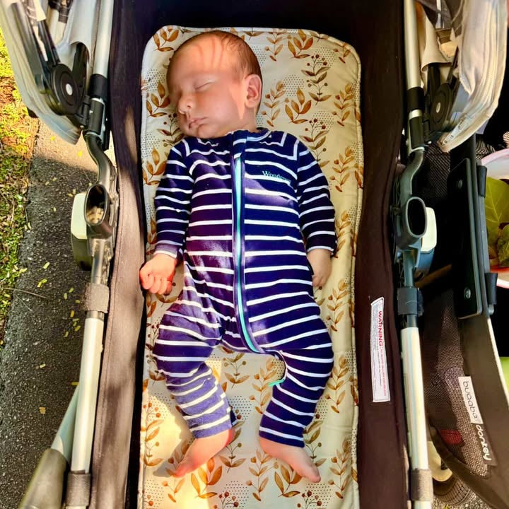 bugaboo pram bassinet liner